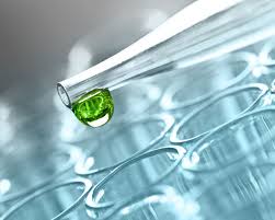 cbd oil