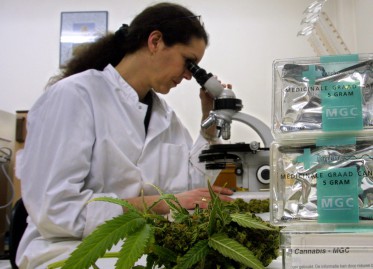 Η ιστορία της απαγόρευσης του Cannabis
