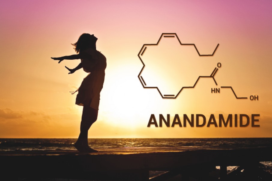Τι είναι η Ανάνταμίδη -ANANDAMIDE